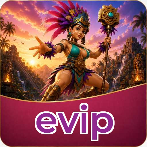 APK evip Technical Info